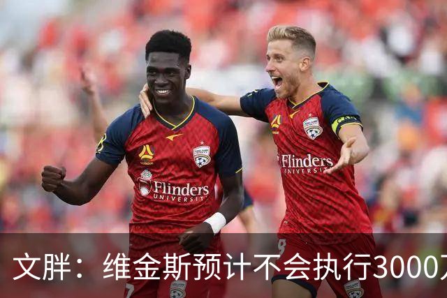 文胖：维金斯预计不会执行3000万球员选项 热火会用长约换他降薪