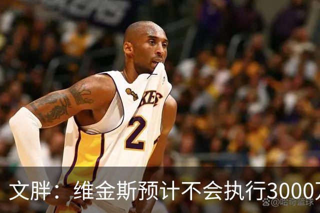 文胖：维金斯预计不会执行3000万球员选项 热火会用长约换他降薪